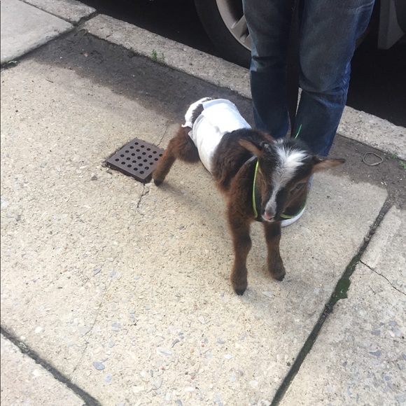 Girls shoes - Picture 2 of 2